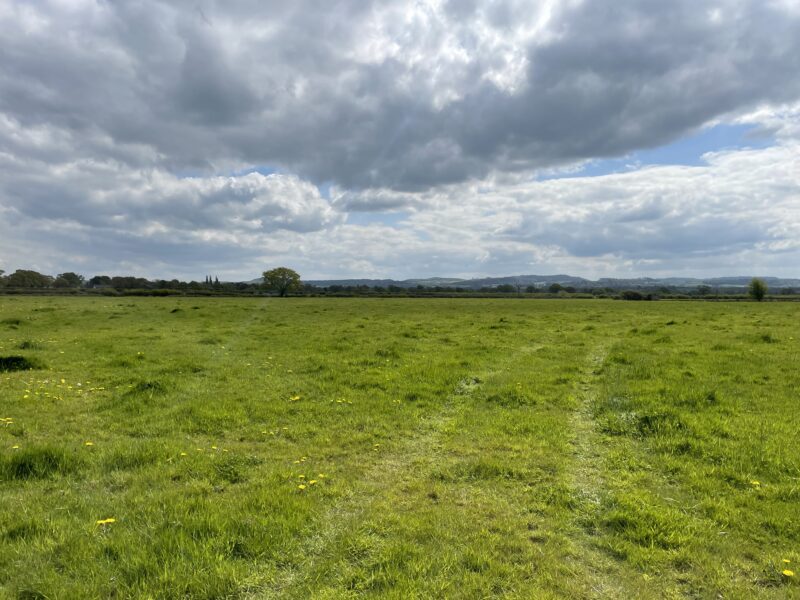 Land off Chester Road, Tattenhall (Lot 1)
