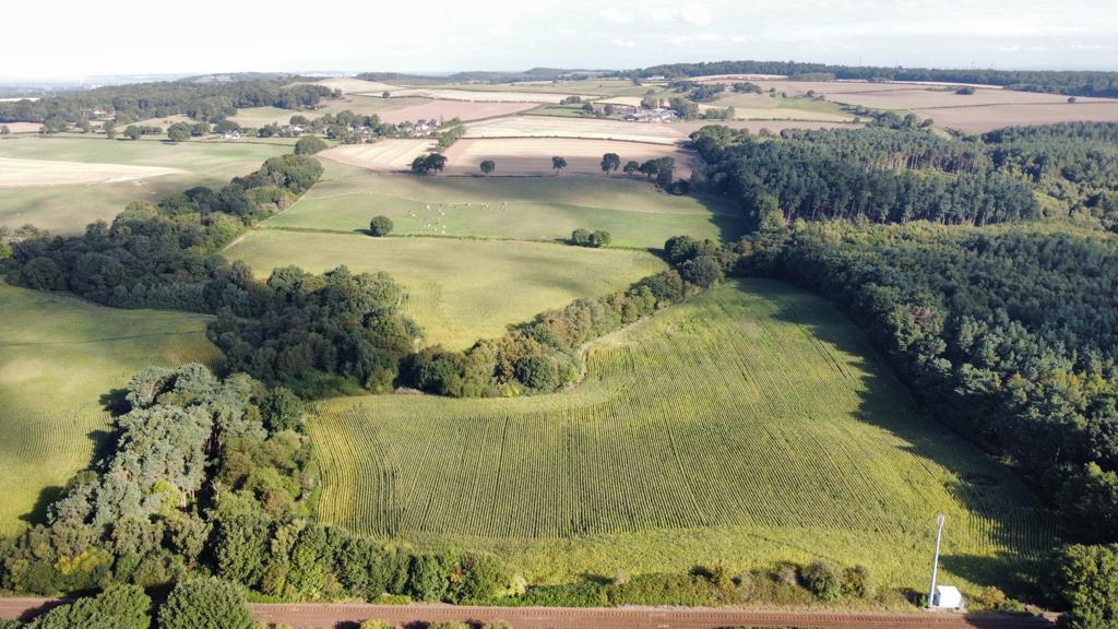 Land Off Ashton Road, Manley, Cheshire, WA6 6PA Rural Property, Land