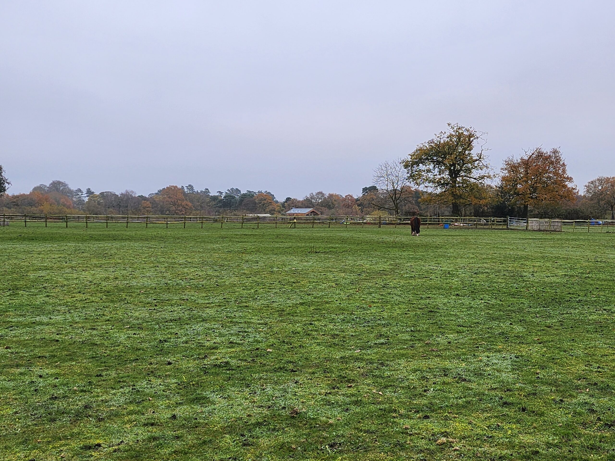 ** Best and Final Offers 12 Noon on Friday 3rd February ** Land at