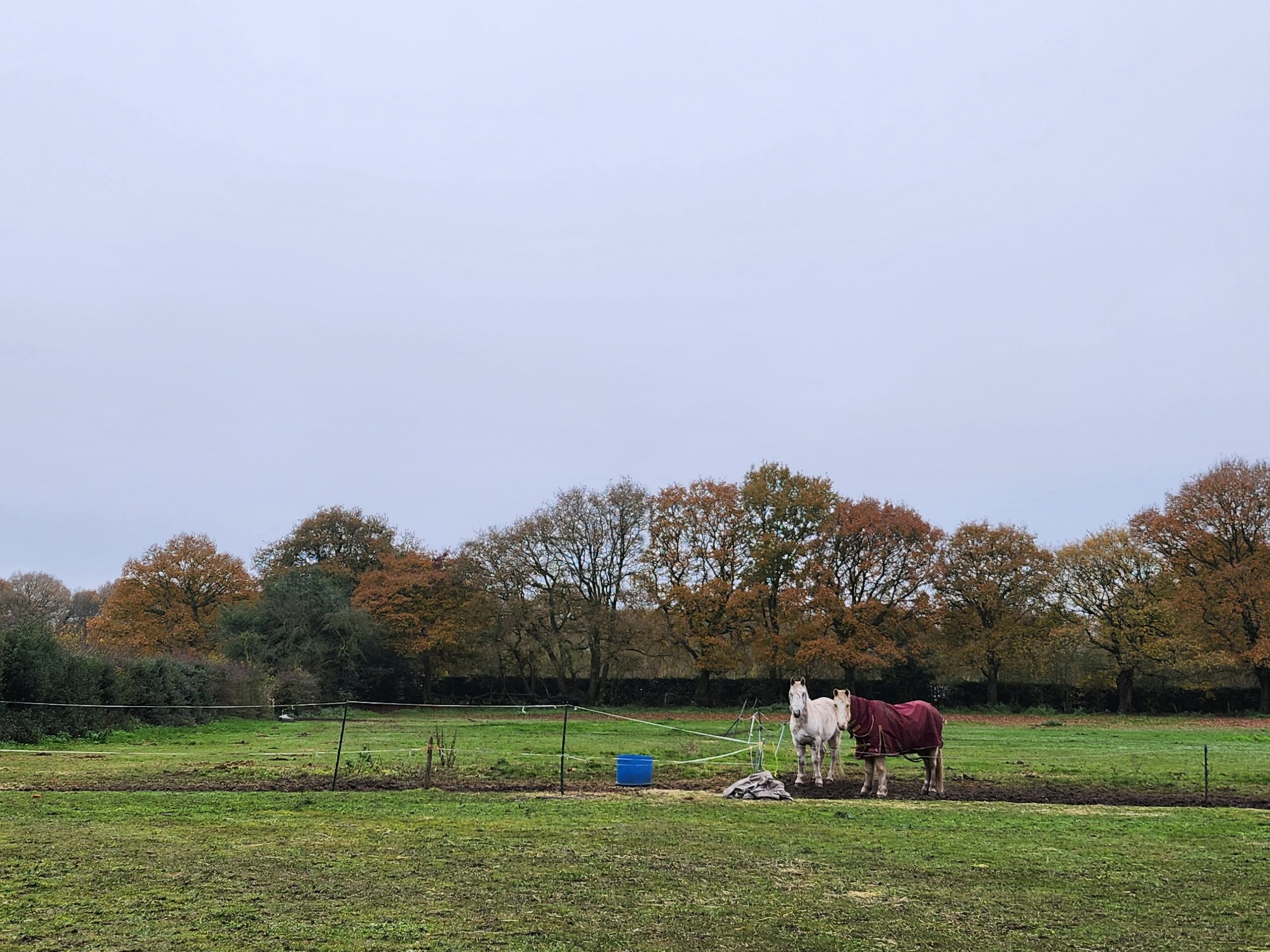 ** Best and Final Offers 12 Noon on Friday 3rd February ** Land at